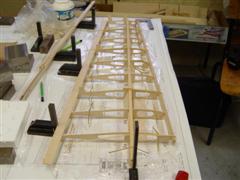 DSC00273.JPG